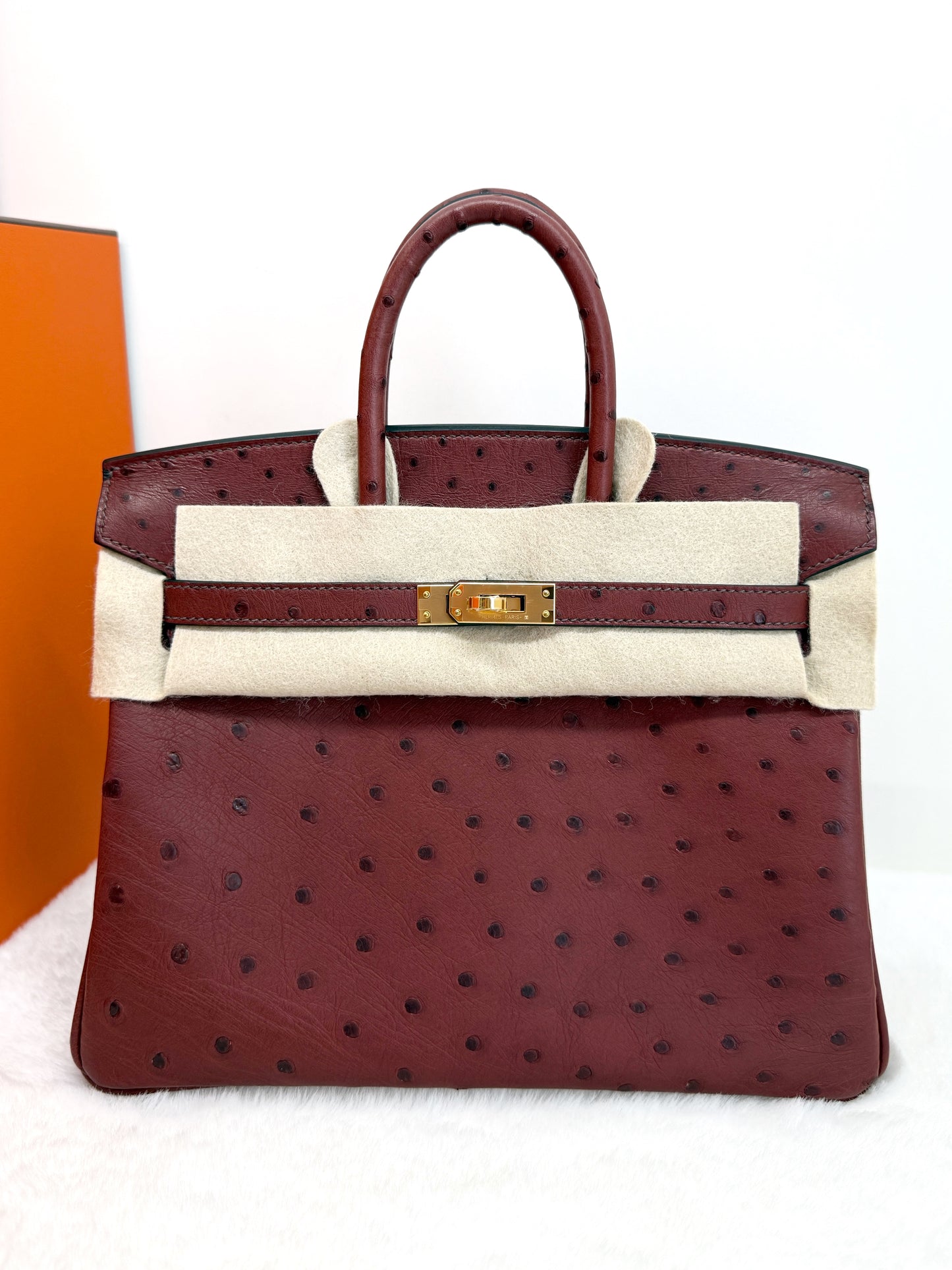 Hermès Birkin 25 Rough H Ostrich GHW
